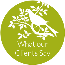 What our Clients Say