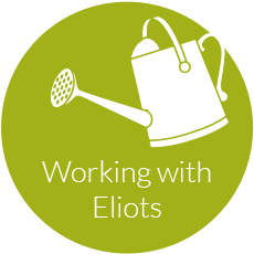 Working with Eliots