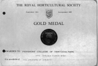 Chelsea Gold Medal Certificate