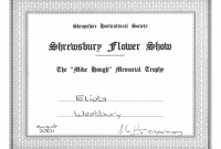 Certificate 2