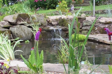 Water Feature 01